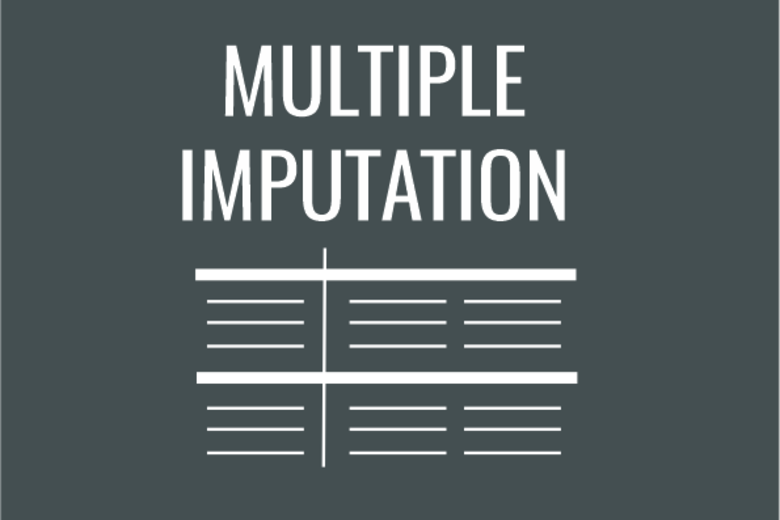 Multiple Imputation Graphic