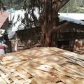 Wood on the floor outside buildings in Addis Ababa