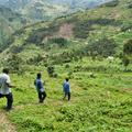 Men walk through the grass in the hills of Western Kenya