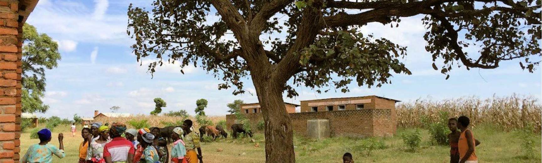 People gather under a tree in a village in Milawi