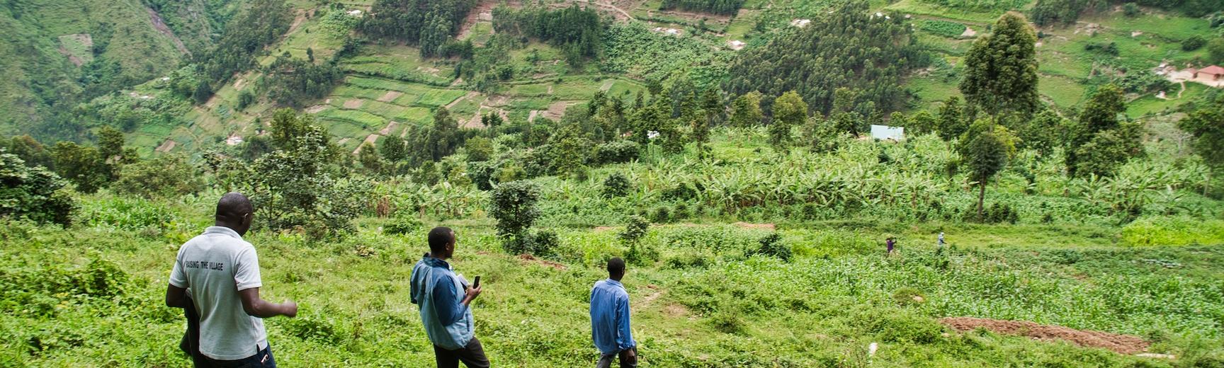 Men walk through the grass in the hills of Western Kenya