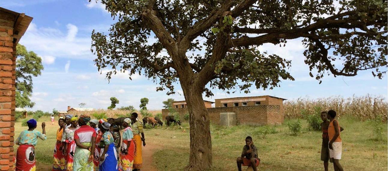People gather under a tree in a village in Milawi