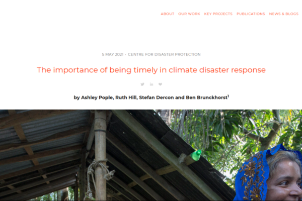 Climate Disaster Protection Blog Screenshot with title