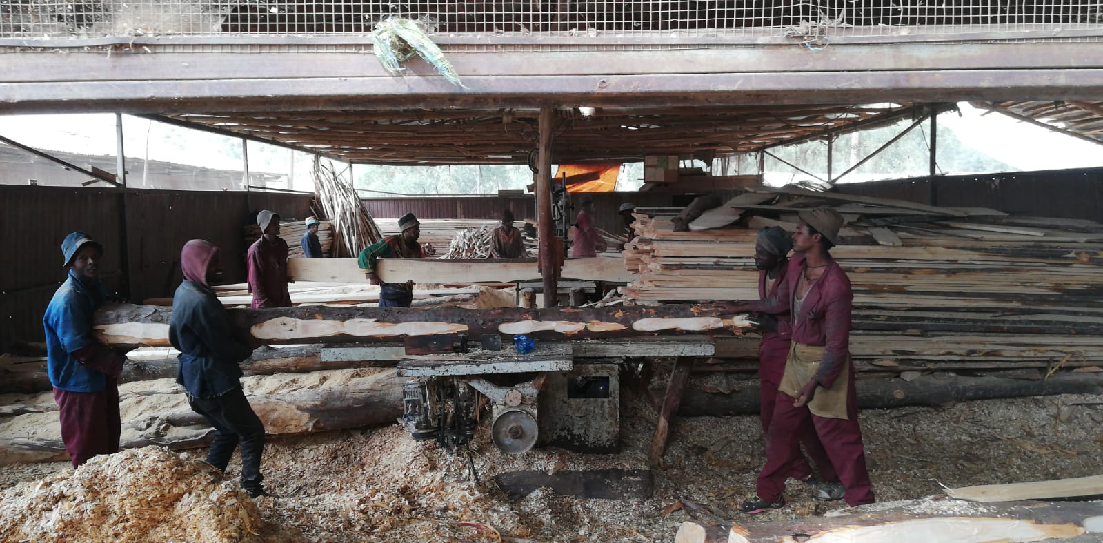 People working with wood in Addis Ababa, Ethiopia