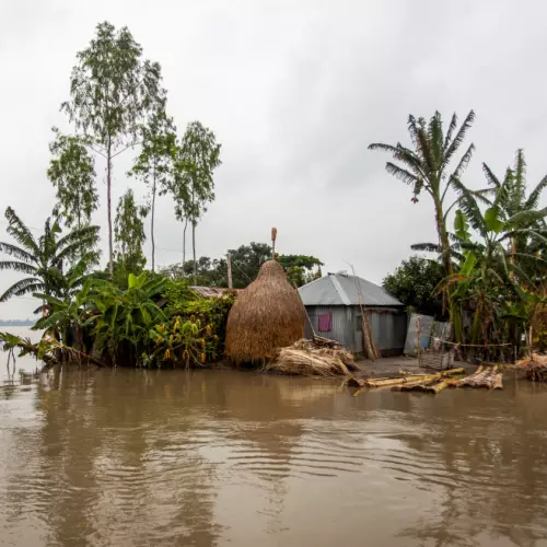 House and trees surround by water in Bangladesh