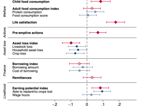 Results map summarising the welfare effect of the cash transfer relative to the control group