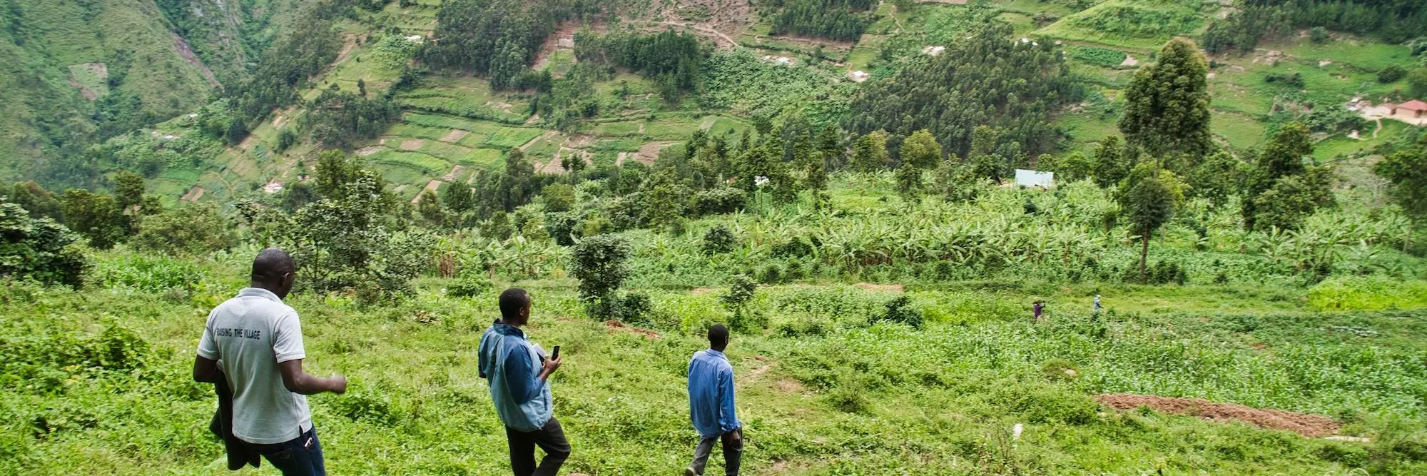 Men walk through the grass in the hills of Western Kenya